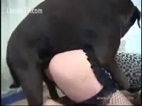 Animal print fuck